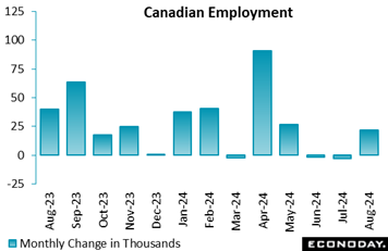 A graph of employment with blue bars  Description automatically generated with medium confidence